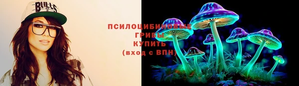 ешки Арсеньев