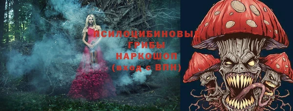 ешки Арсеньев