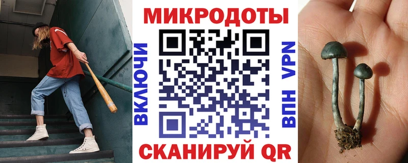 Псилоцибиновые грибы Cubensis  где можно купить наркотик  Дорогобуж 